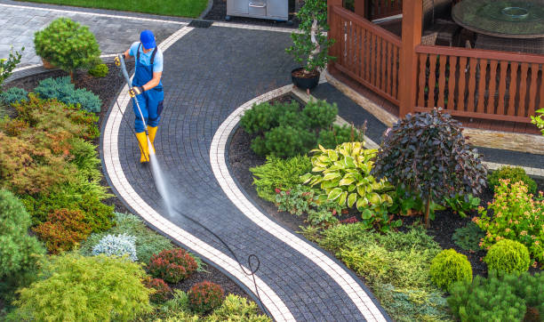 Best Local Pressure Washing Services  in Wichita Falls, TX